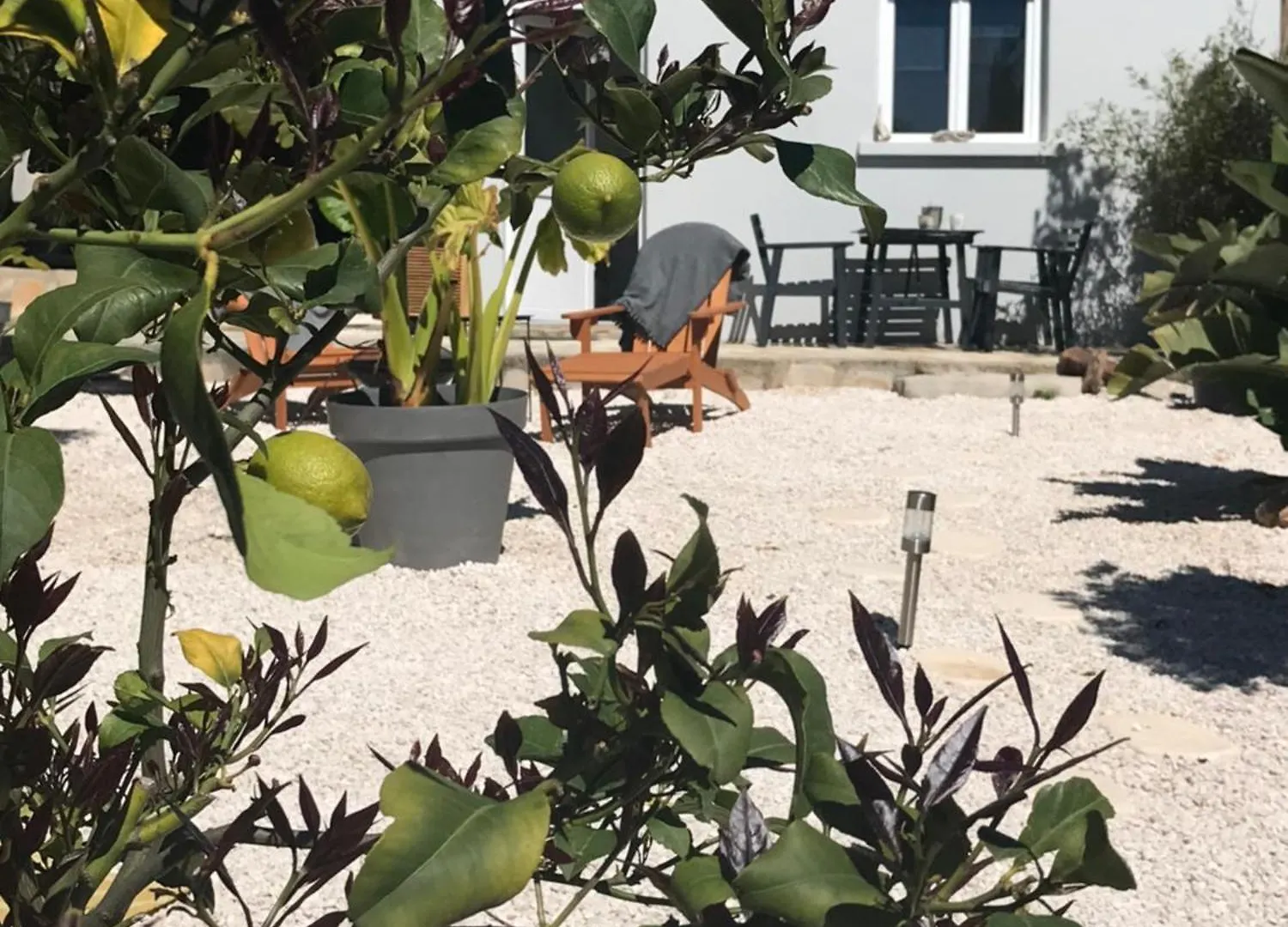 Apartment Le Cabanon Detente Bandol